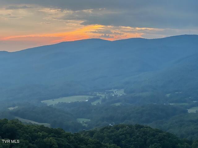 212 Upper Cliffside Drive Elizabethton, TN 37643 - Photo 100 of 130 68031563040__2F8F13D7-C1AF-46C1-8DCC-B51