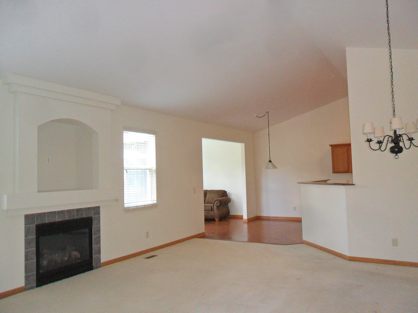 678 Cadillac Circle Romeoville, IL 60446 - Photo 6 of 21