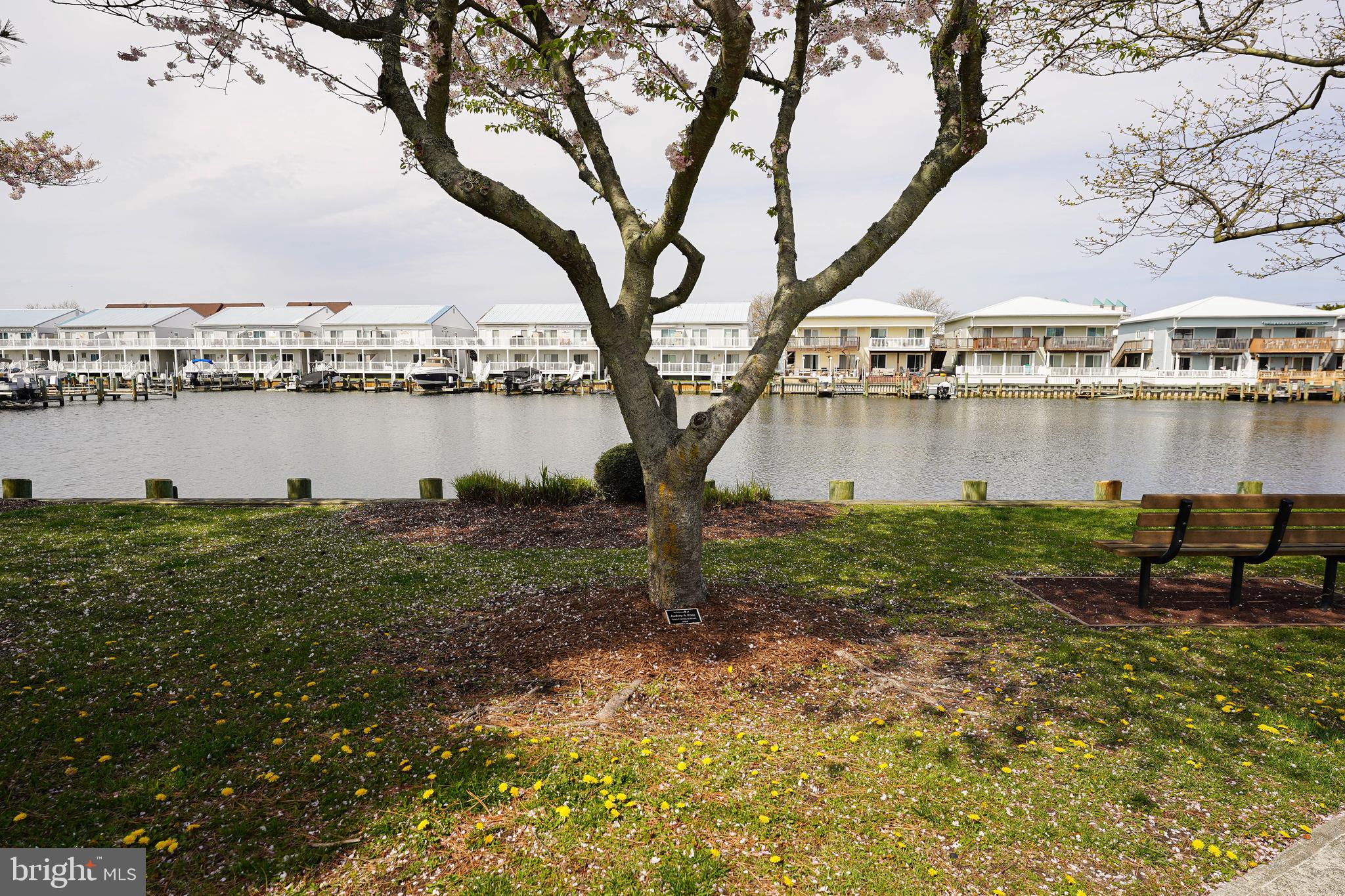 113 Jamestown Road, Unit D1 Ocean City, MD 21842 - Photo 43 of 46