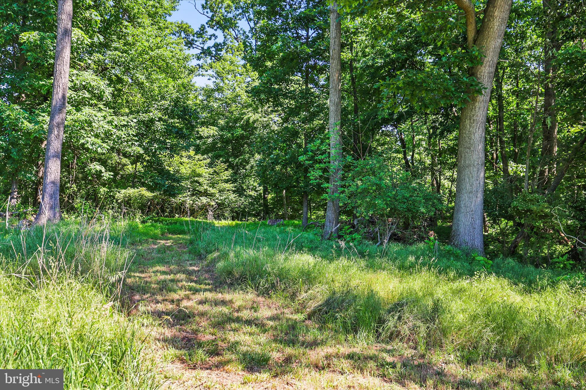 1974 Meadow Lane Spring Grove, PA 17362 - Photo 12 of 56 Enjoy nature