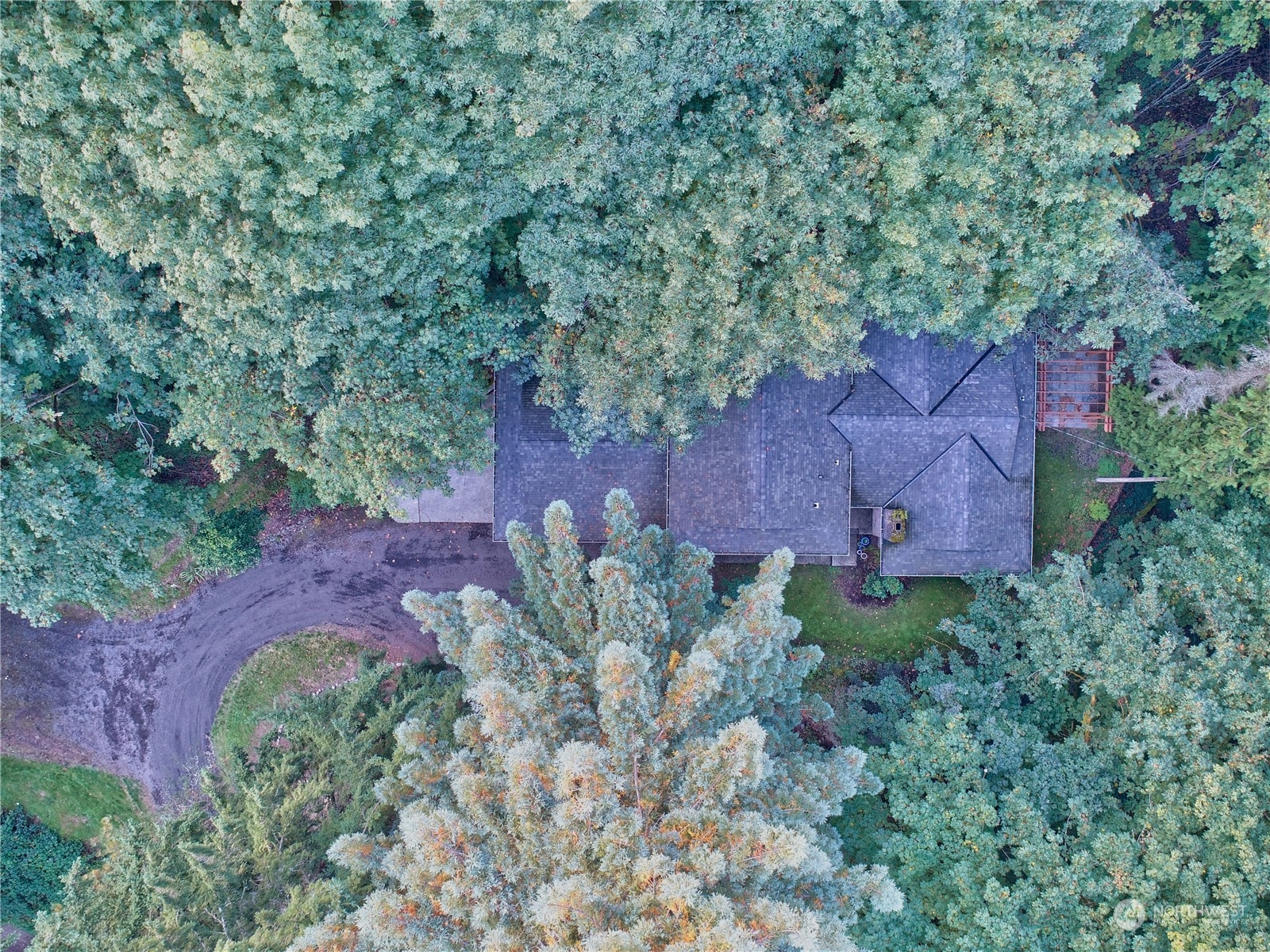 17802 Southeast Jones Road Renton, WA 98058 - Photo 29 of 38 an aerial view of backyard with outdoor space and trees all around