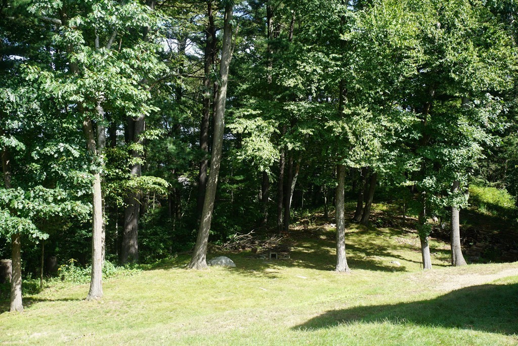 115 Harvard Road Littleton, MA 01460 - Photo 17 of 20 a view of a tree in a yard