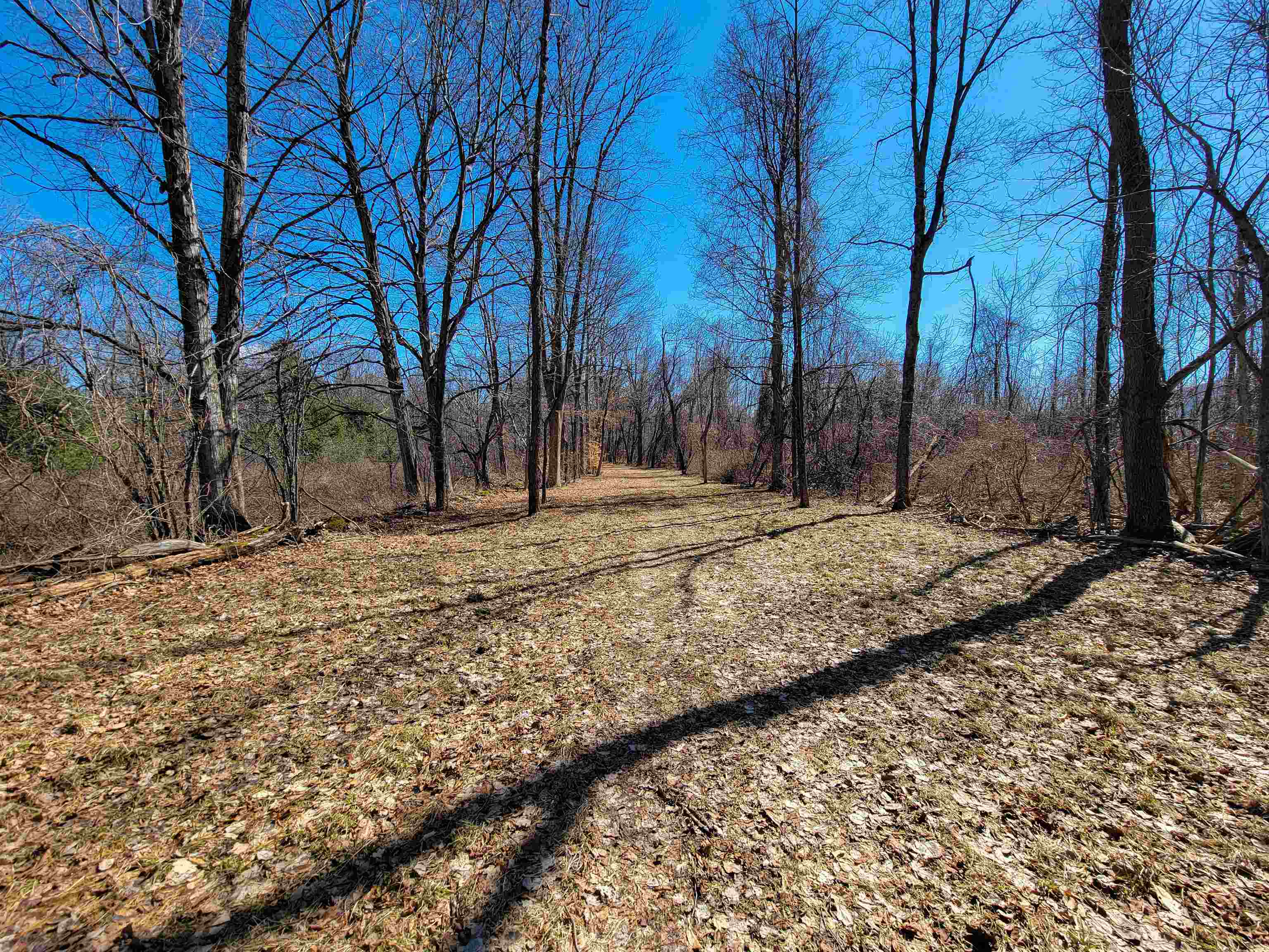 399 Bard Road Bennington, VT 05201 - Photo 21 of 60