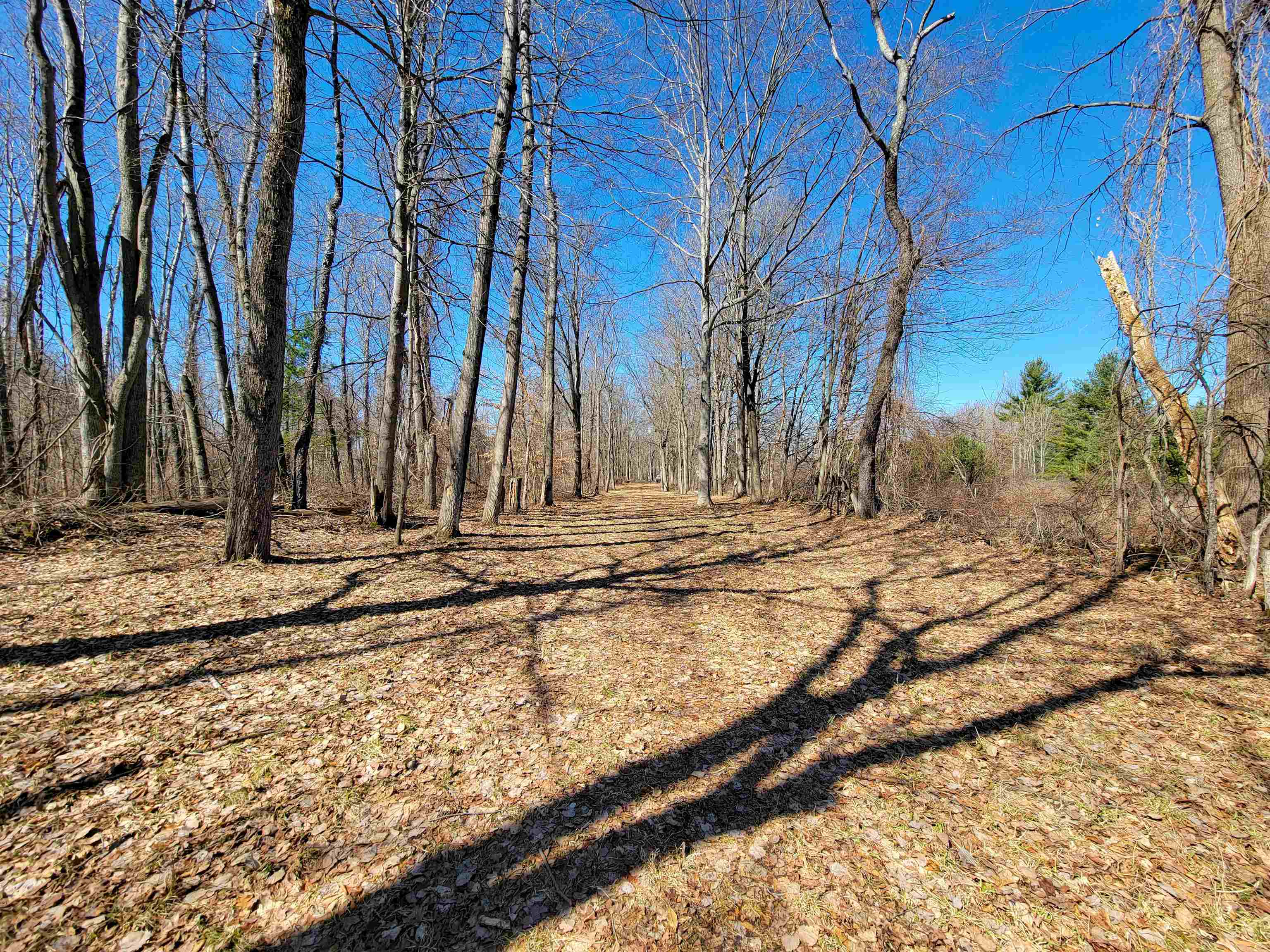 399 Bard Road Bennington, VT 05201 - Photo 22 of 60
