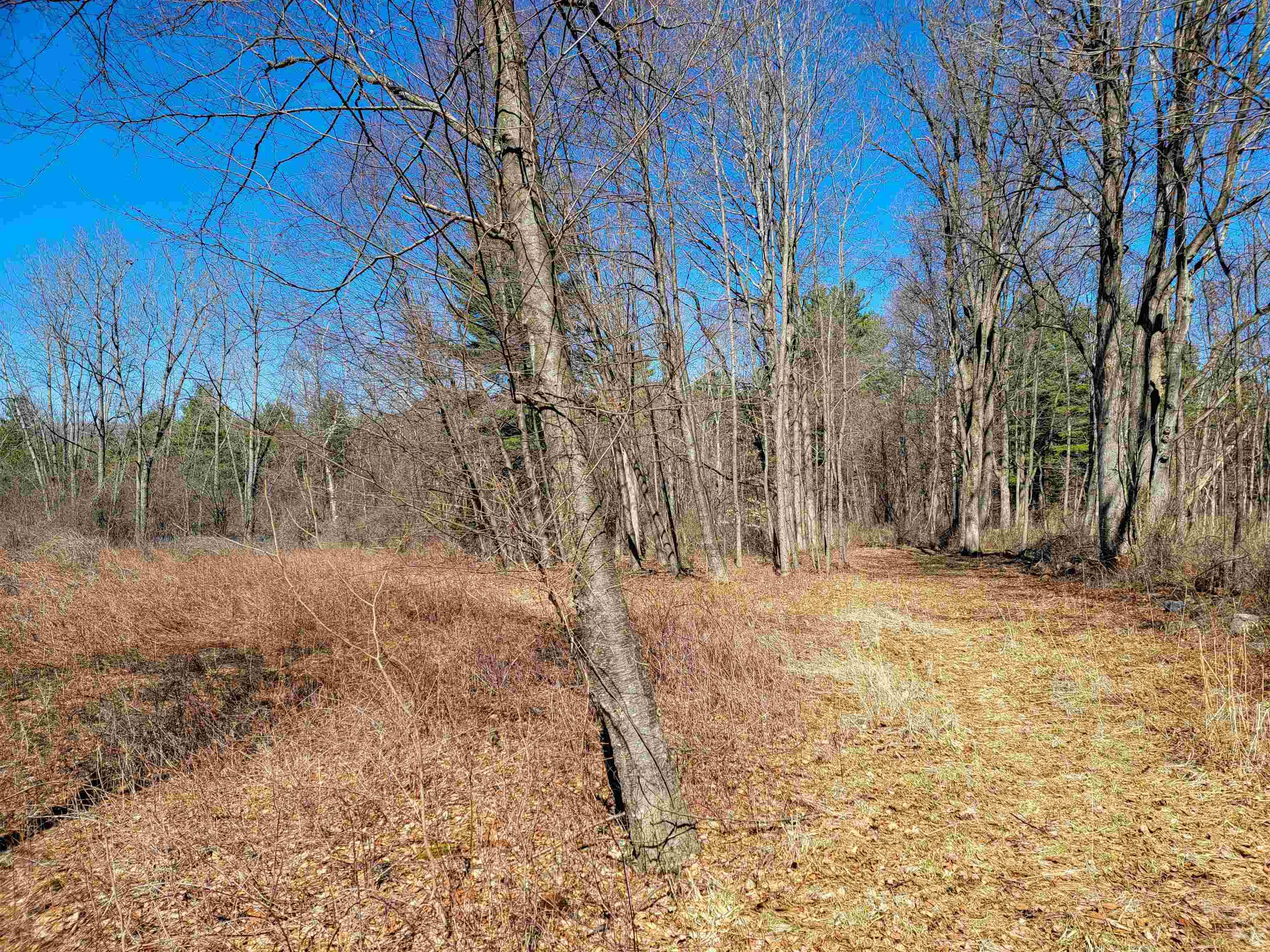 399 Bard Road Bennington, VT 05201 - Photo 27 of 60
