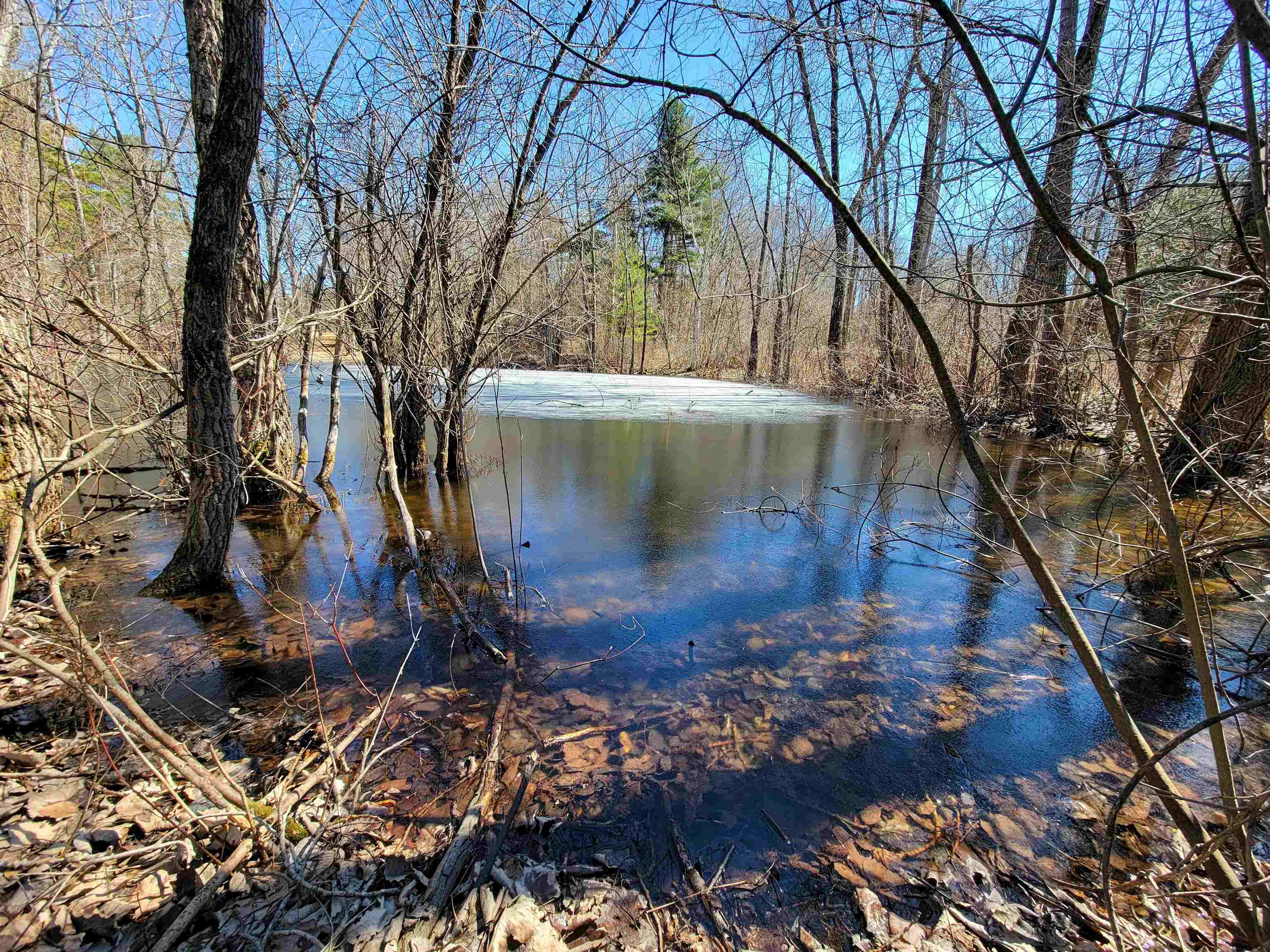 399 Bard Road Bennington, VT 05201 - Photo 30 of 60