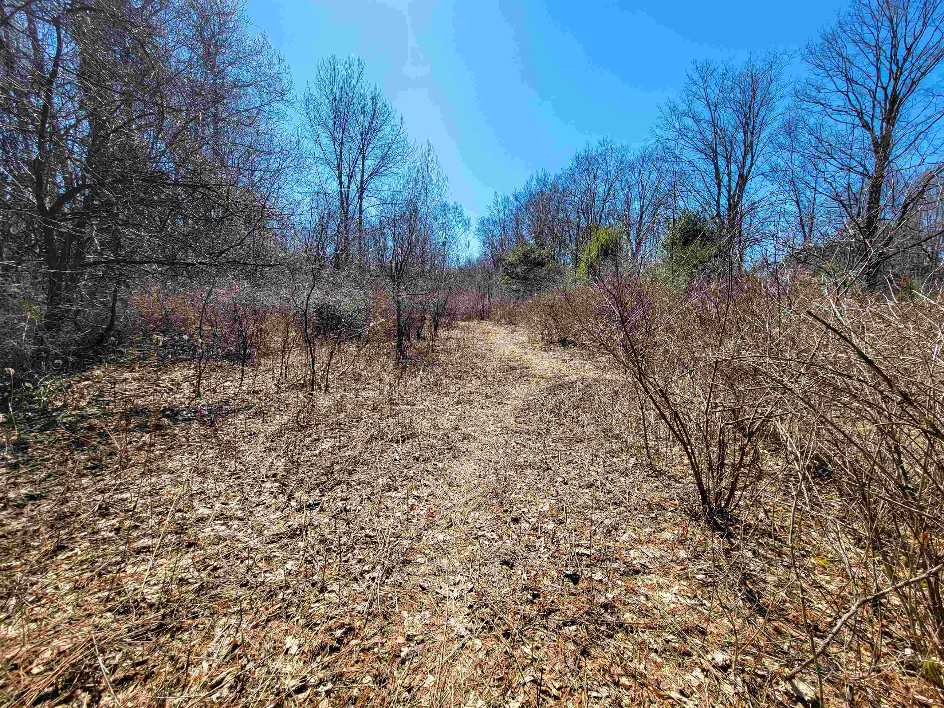 399 Bard Road Bennington, VT 05201 - Photo 41 of 60