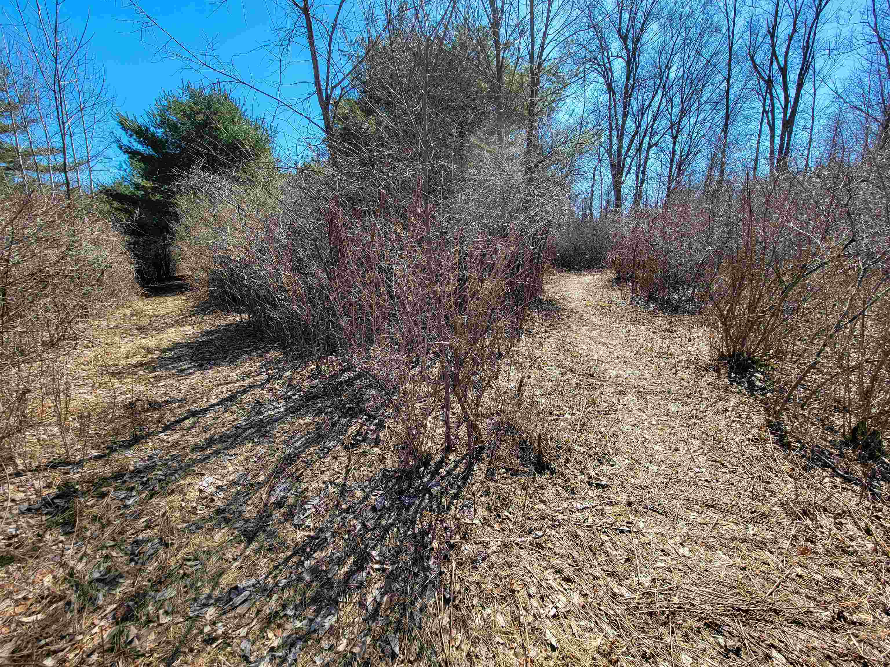 399 Bard Road Bennington, VT 05201 - Photo 45 of 60