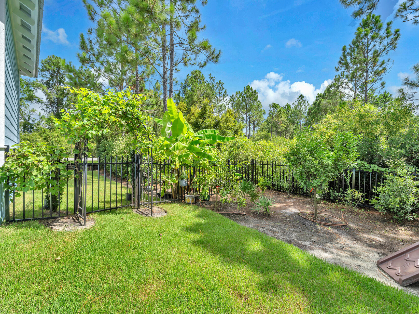 61 Sweet Breeze Drive Santa Rosa Beach, FL 32459 - Photo 62 of 92 a backyard of a house with lots of green space