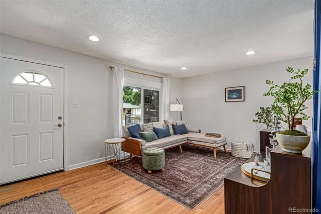 a living room with furniture and a potted plant