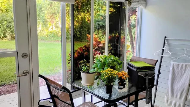 a view of a window with garden