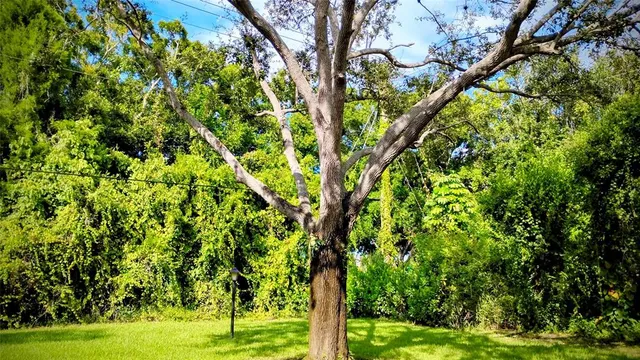 a view of a basket ball ground