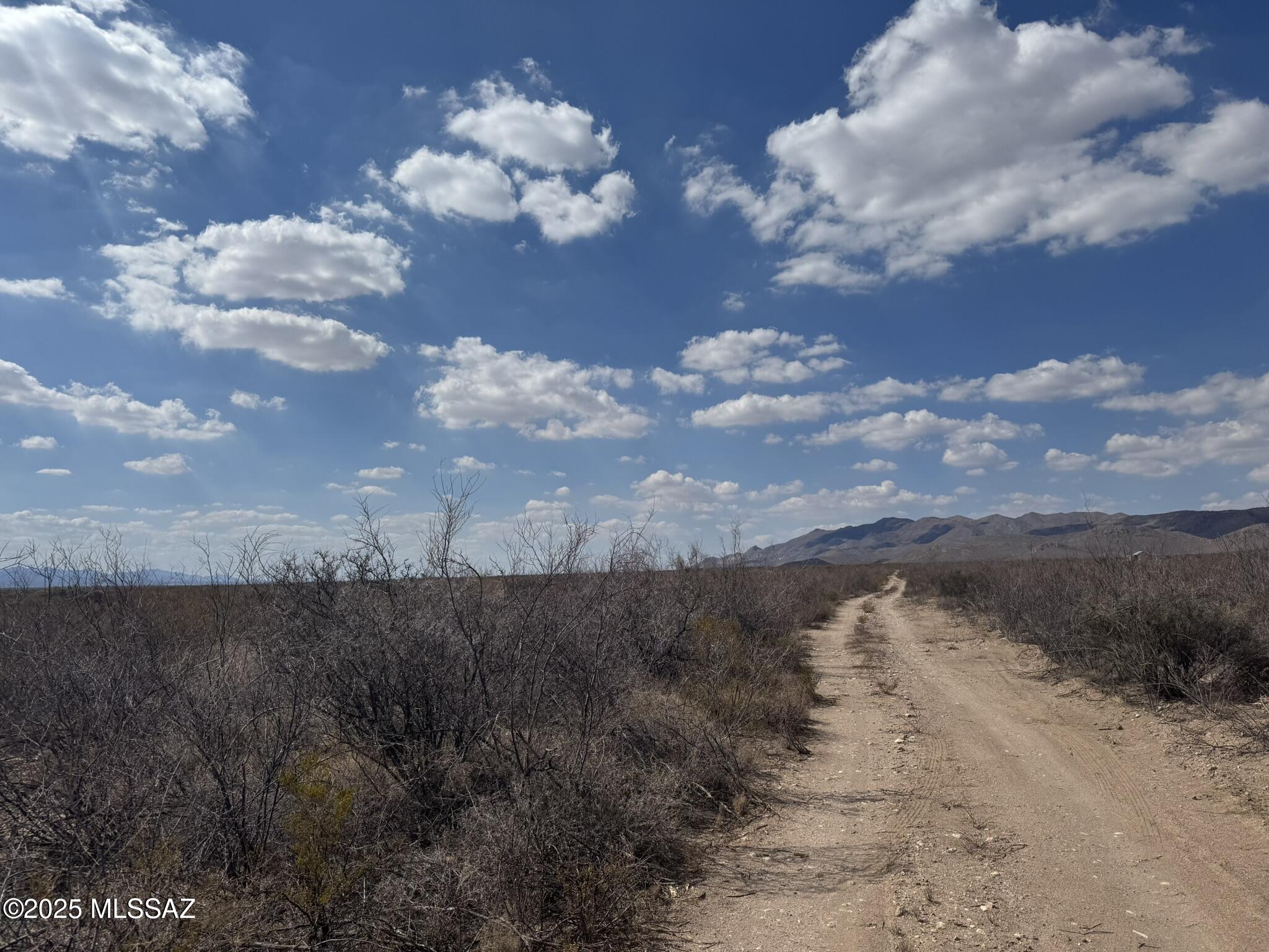 12.48-acre South Clovis Road, Unit 39 Pearce, AZ 85625 - Photo 19 of 19