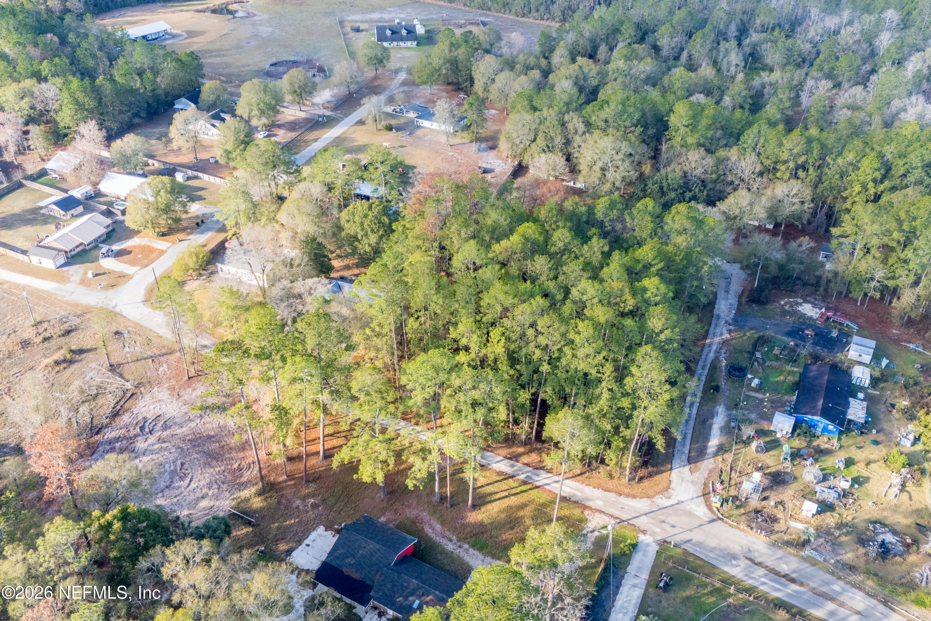 0 Northwest 56th Avenue Starke, FL 32091 - Photo 4 of 5 a picture of flowers