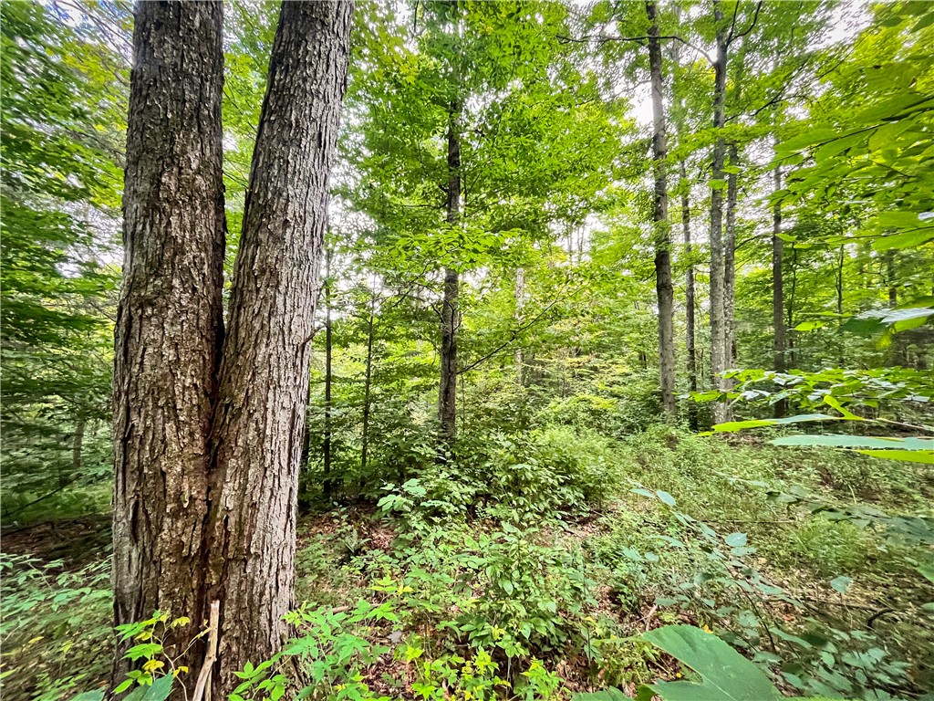 Hill Road Spencer, NY 14883 - Photo 5 of 48