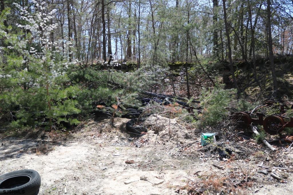 351 Shaws Mill Road Newport, NJ 08345 - Photo 3 of 84