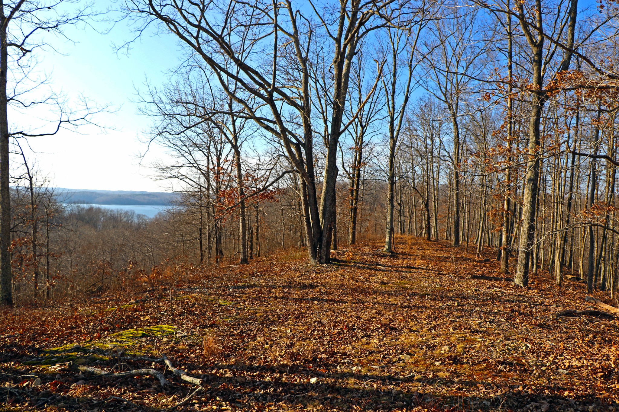 0 Ridge Top Road Stewart, TN 37175 - Photo 2 of 10 a backyard of a house with lots of green space