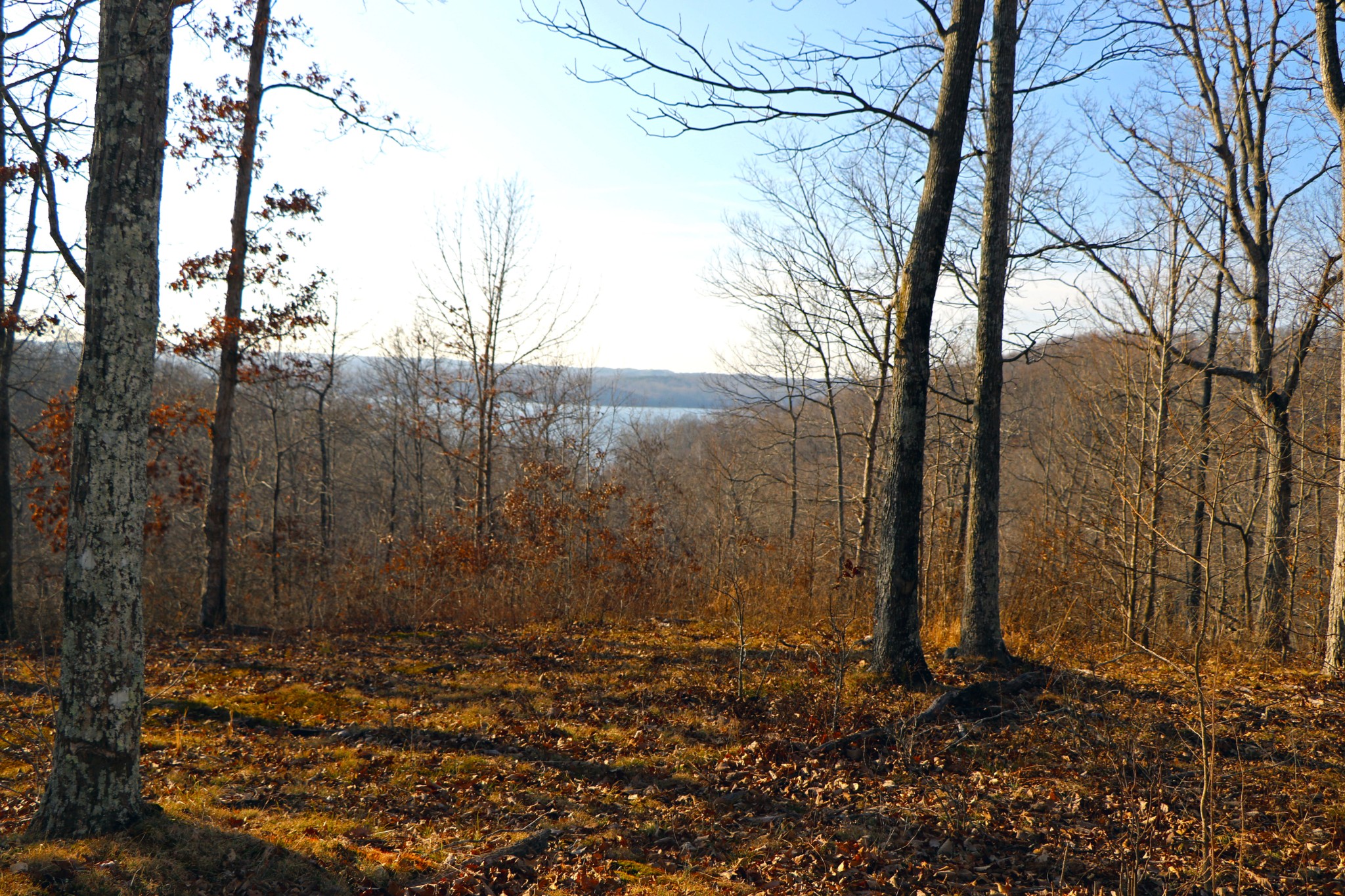 0 Ridge Top Road Stewart, TN 37175 - Photo 3 of 10 a backyard of a house with lots of green space