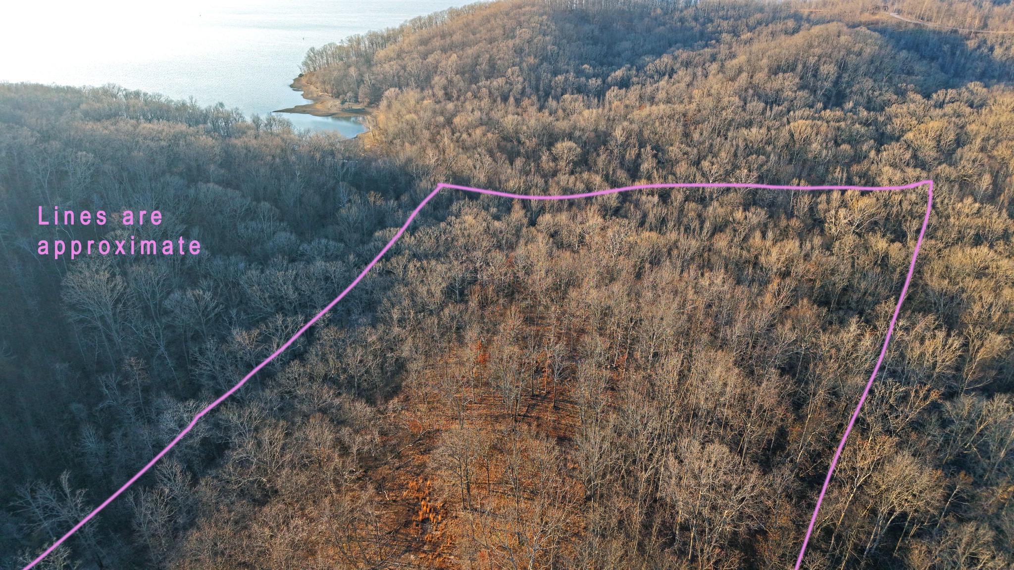 0 Ridge Top Road Stewart, TN 37175 - Photo 7 of 10 a view of a field