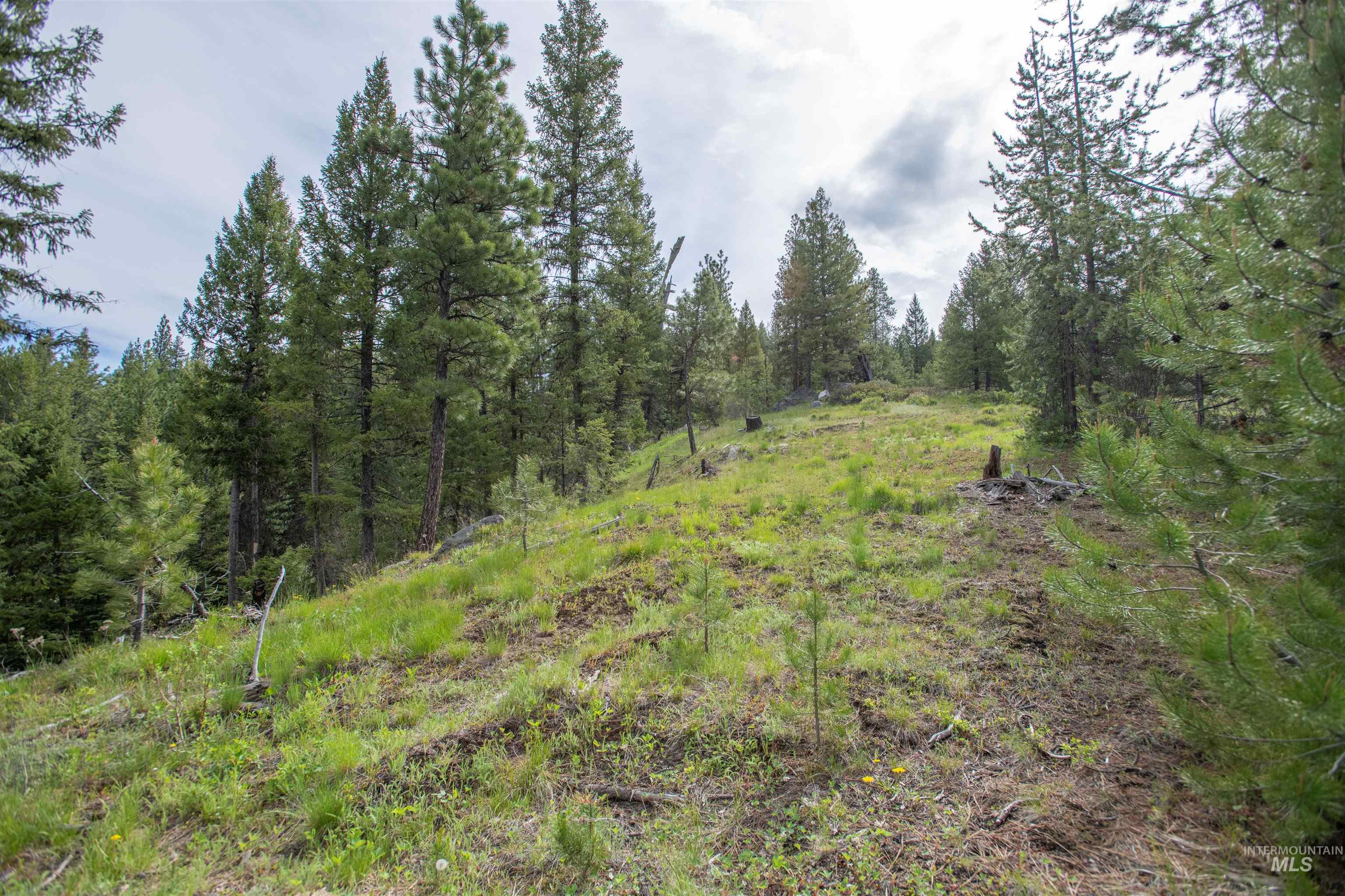 34 Clear Creek Road Cascade, ID 83611 - Photo 5 of 10