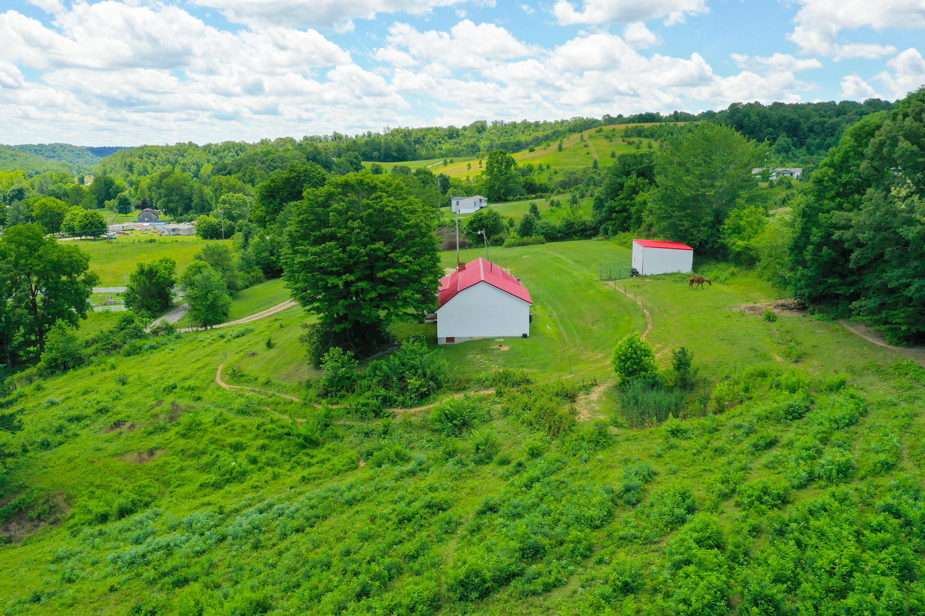 234 Ray Mathis Road Annville, KY 40402 - Photo 39 of 47 DJI_0261