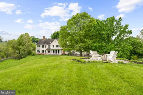 a view of a yard in front of a house with plants and large tree