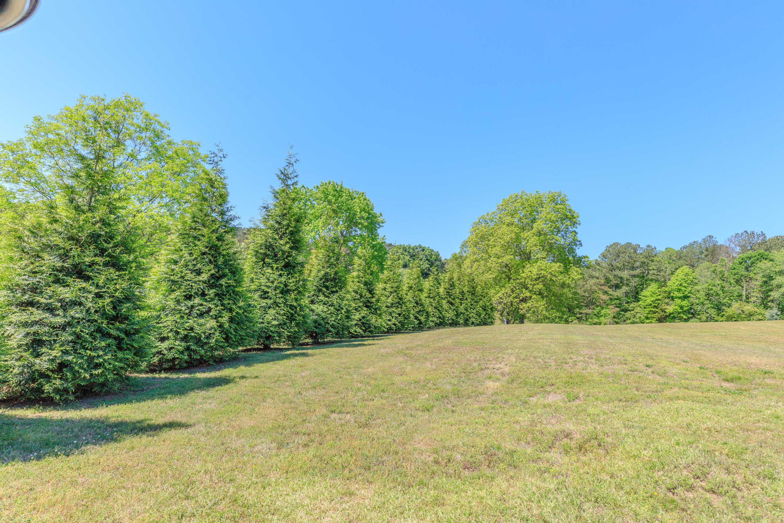 669 Chandler Road Chickamauga, GA 30707 - Photo 104 of 130 669 Chandler Road HD (27)