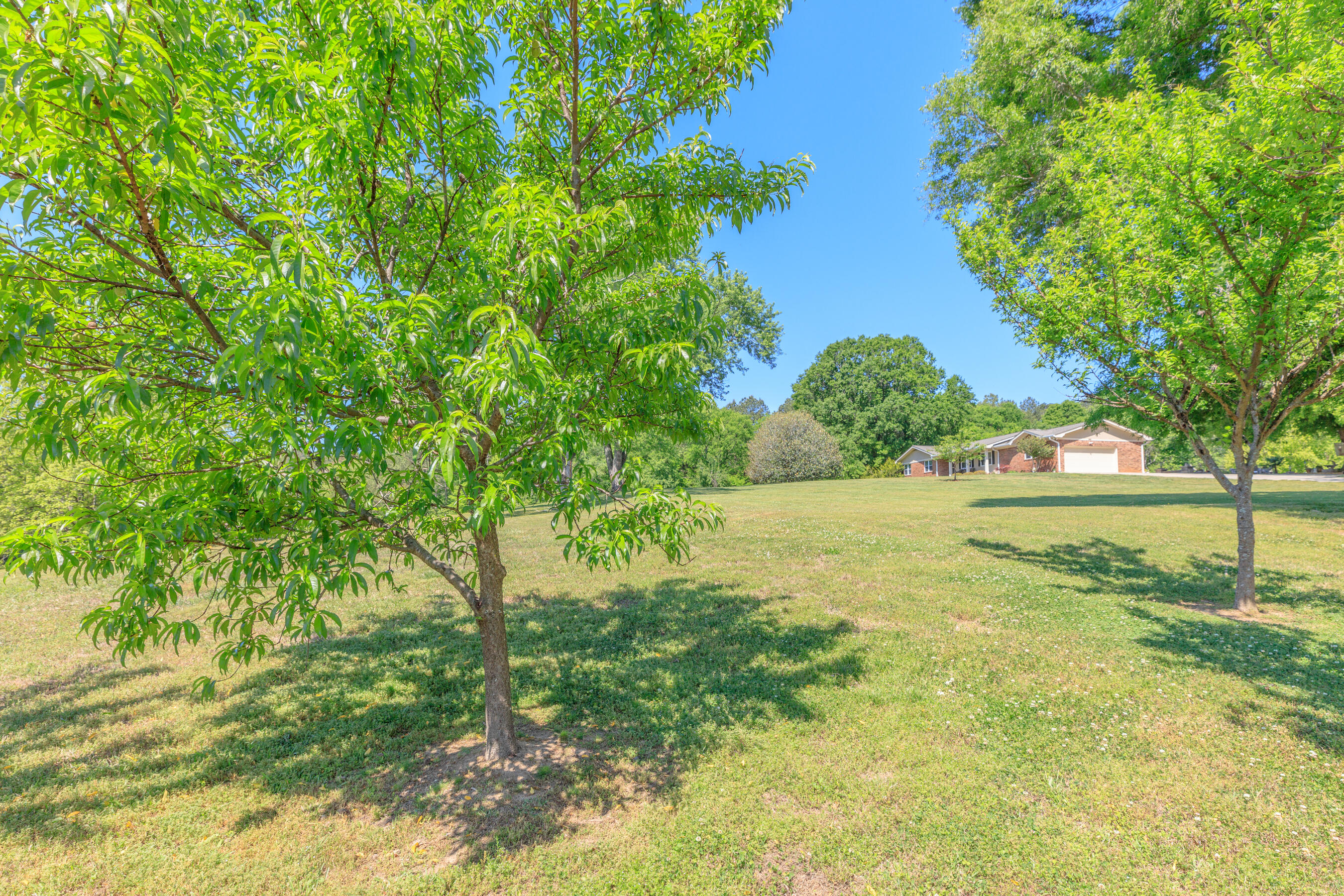 669 Chandler Road Chickamauga, GA 30707 - Photo 105 of 130 669 Chandler Road HD (26)