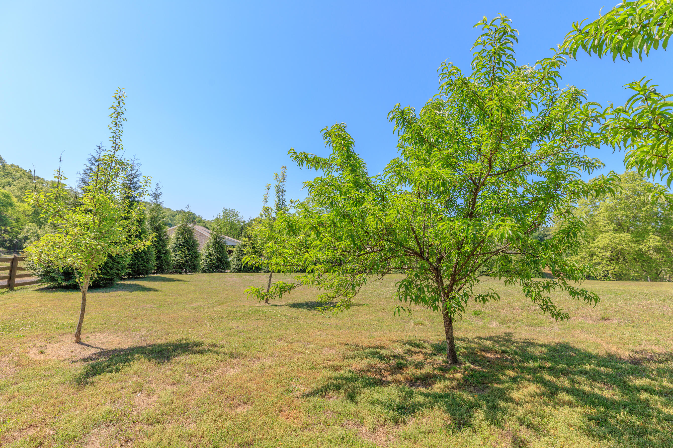 669 Chandler Road Chickamauga, GA 30707 - Photo 106 of 130 669 Chandler Road HD (25)