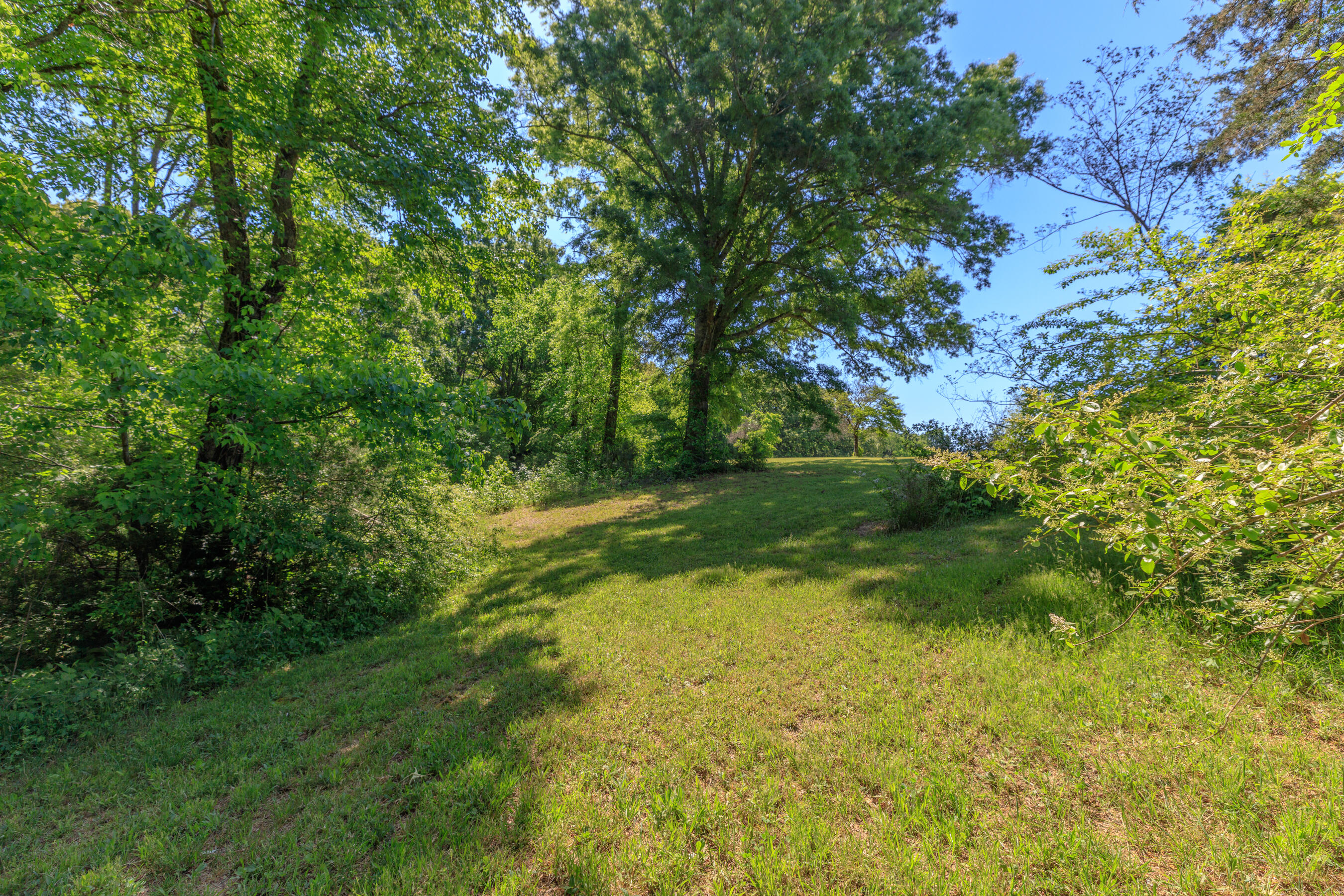 669 Chandler Road Chickamauga, GA 30707 - Photo 111 of 130 669 Chandler Road HD (20)