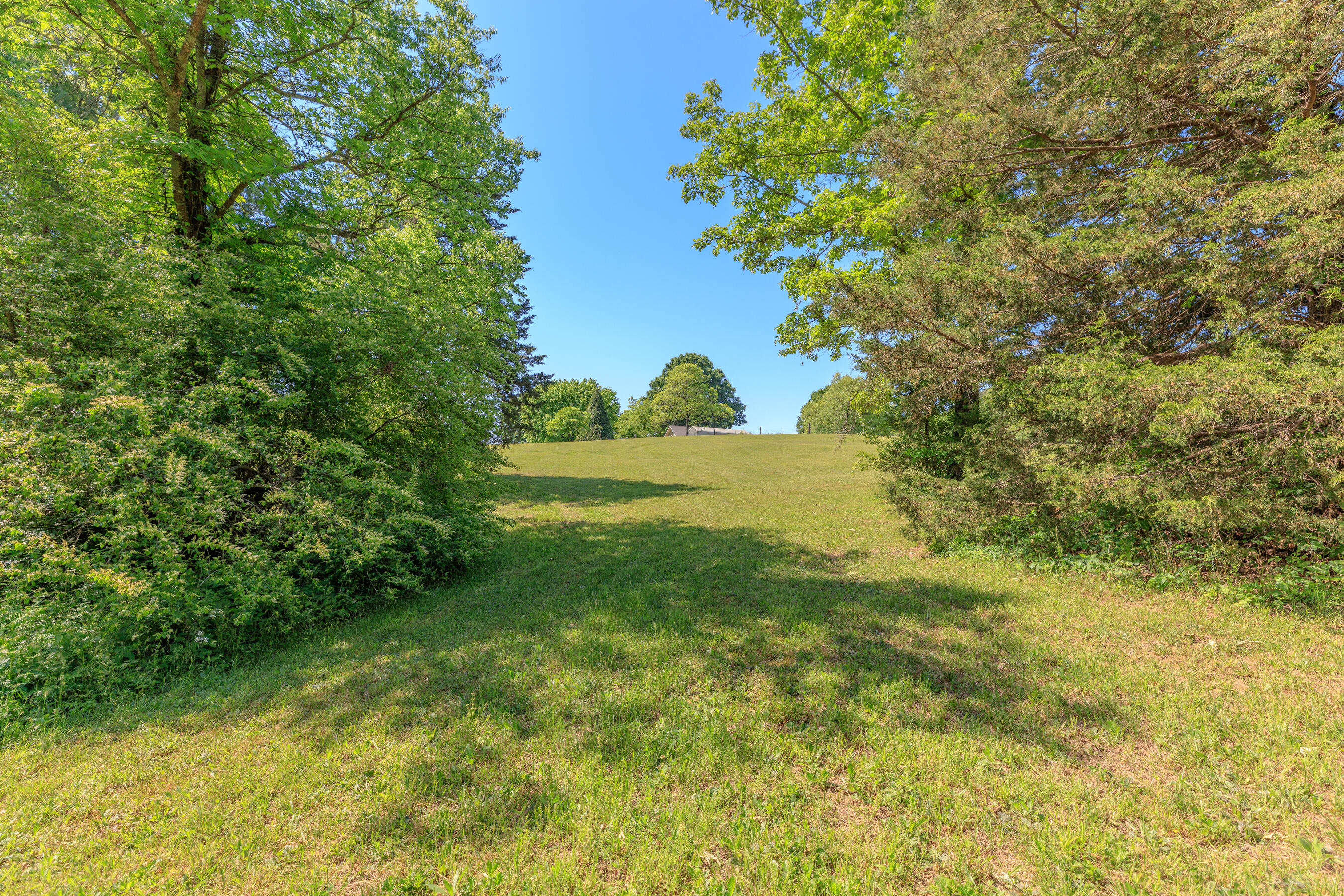 669 Chandler Road Chickamauga, GA 30707 - Photo 112 of 130 669 Chandler Road HD (19)