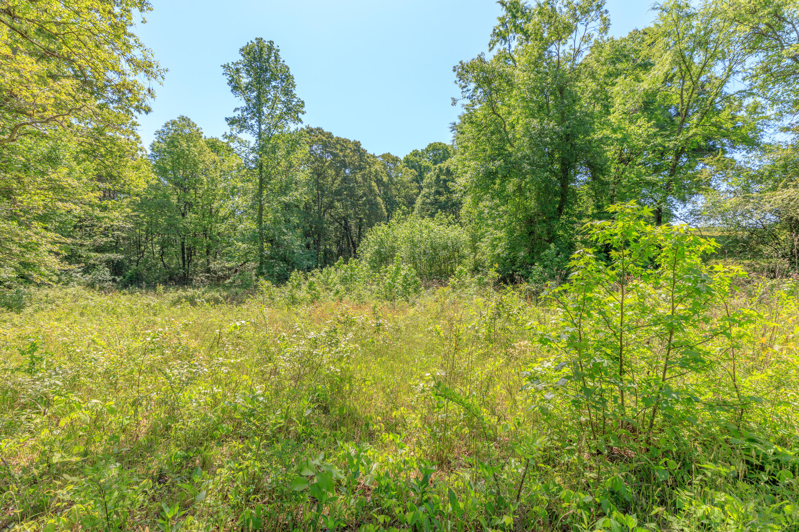 669 Chandler Road Chickamauga, GA 30707 - Photo 113 of 130 669 Chandler Road HD (18)