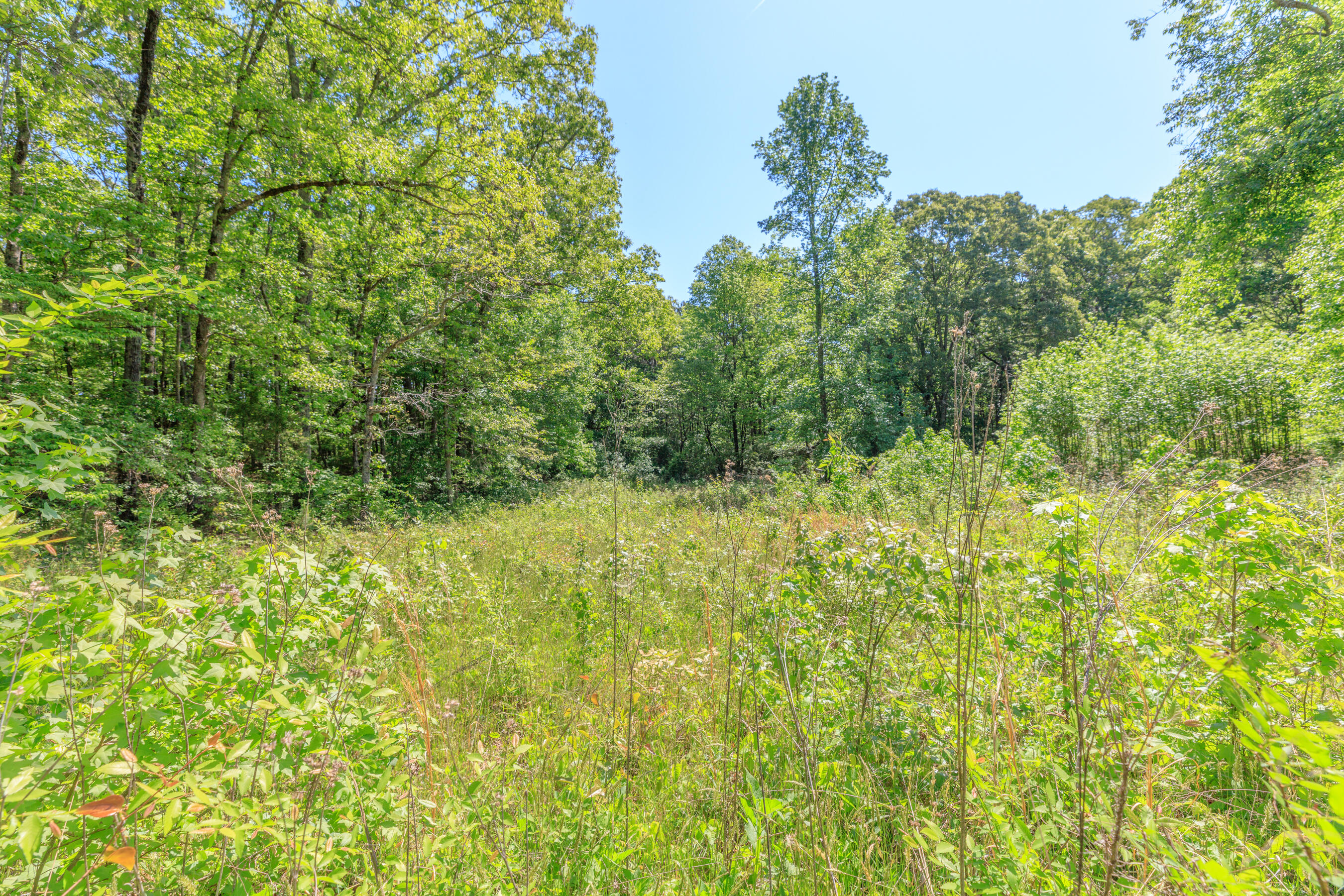 669 Chandler Road Chickamauga, GA 30707 - Photo 114 of 130 669 Chandler Road HD (17)
