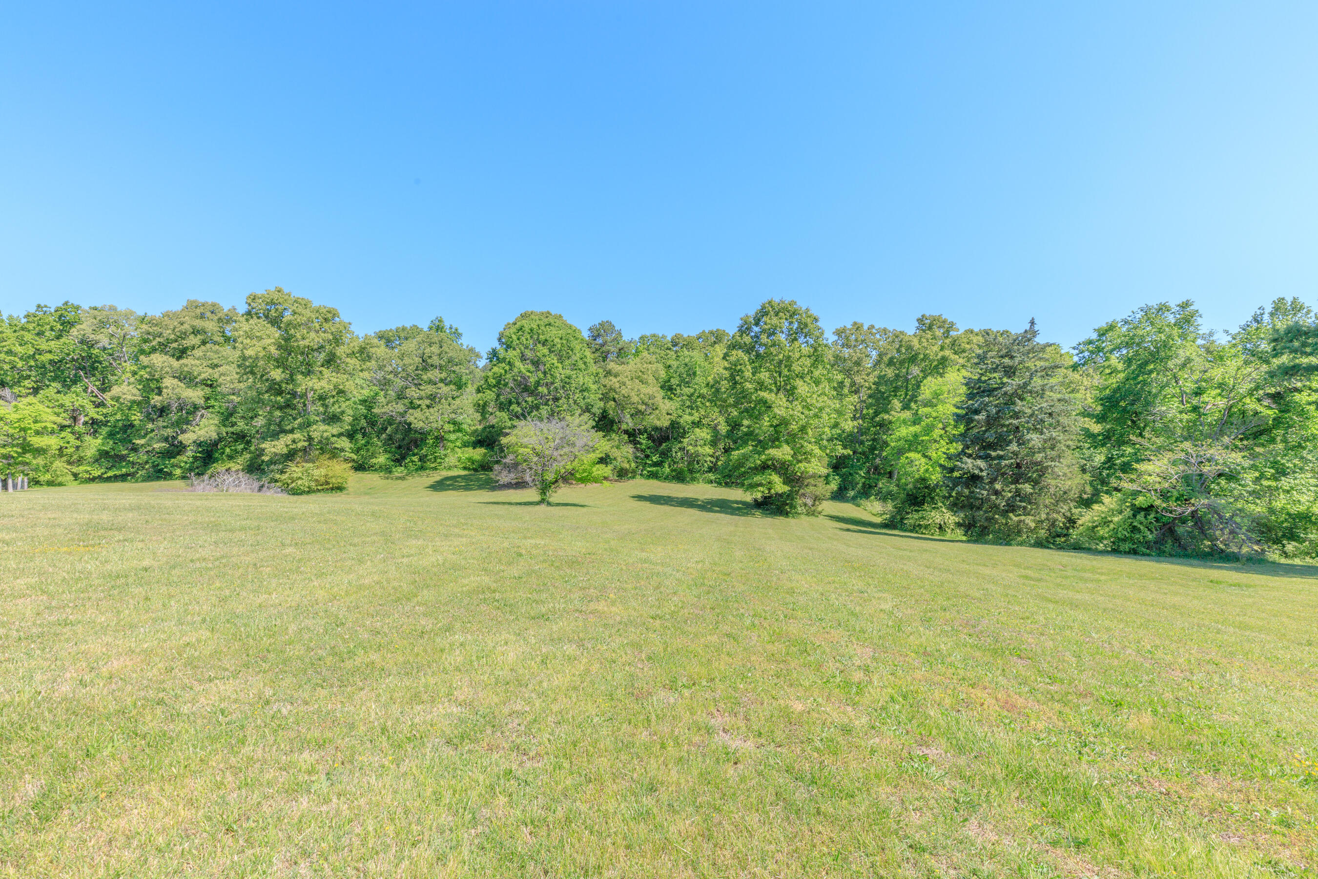 669 Chandler Road Chickamauga, GA 30707 - Photo 118 of 130 669 Chandler Road HD (13)