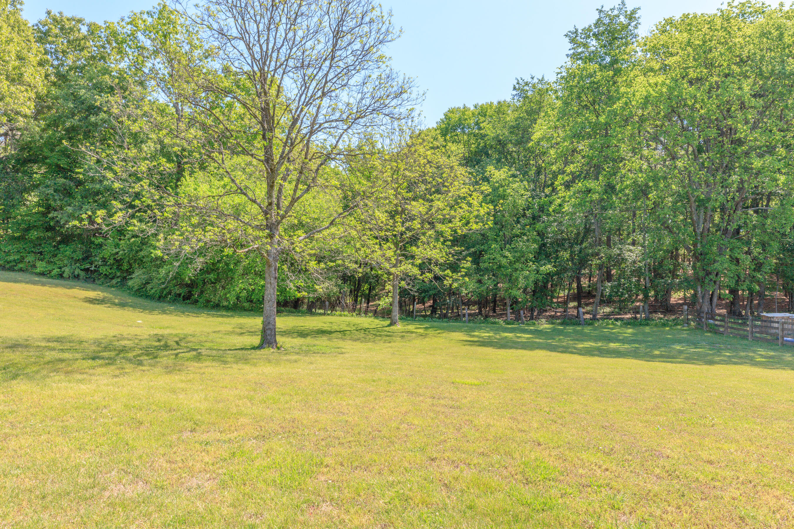 669 Chandler Road Chickamauga, GA 30707 - Photo 121 of 130 669 Chandler Road HD (9)