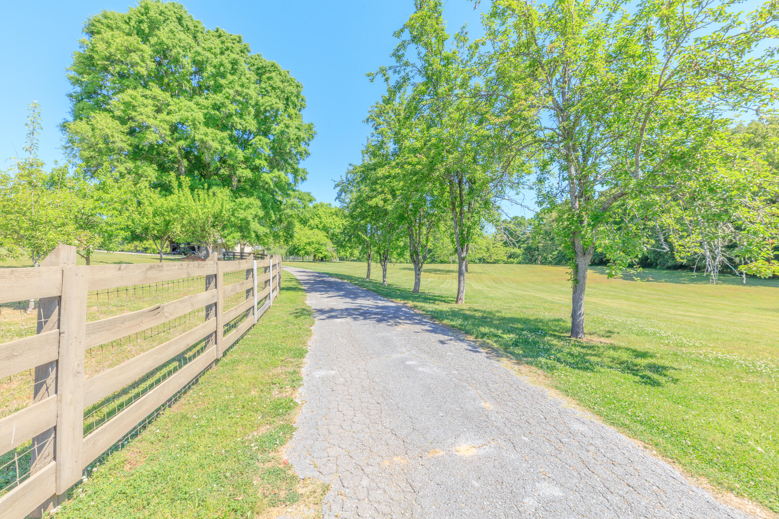 669 Chandler Road Chickamauga, GA 30707 - Photo 125 of 130 669 Chandler Road HD (5)