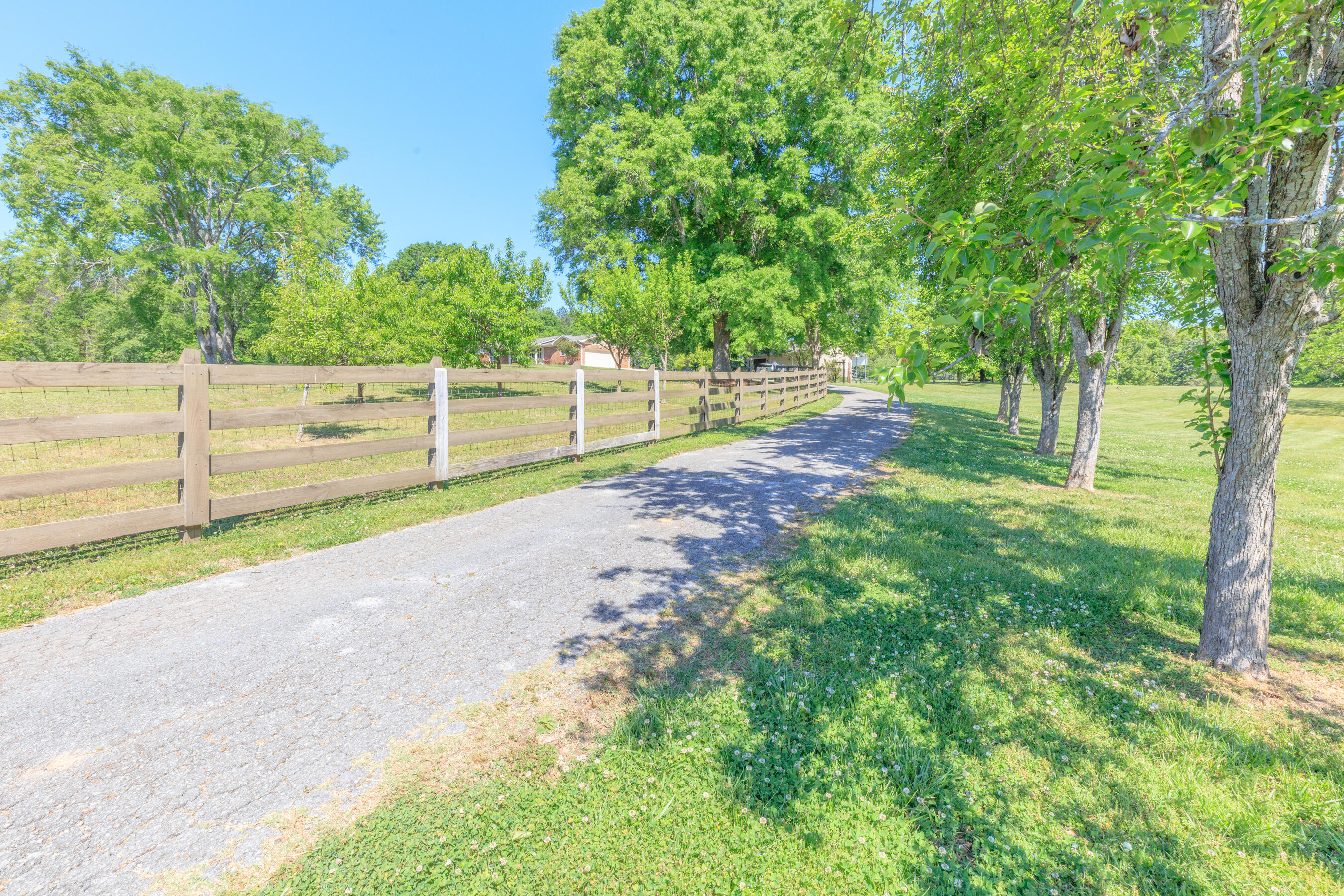 669 Chandler Road Chickamauga, GA 30707 - Photo 127 of 130 669 Chandler Road HD (3)