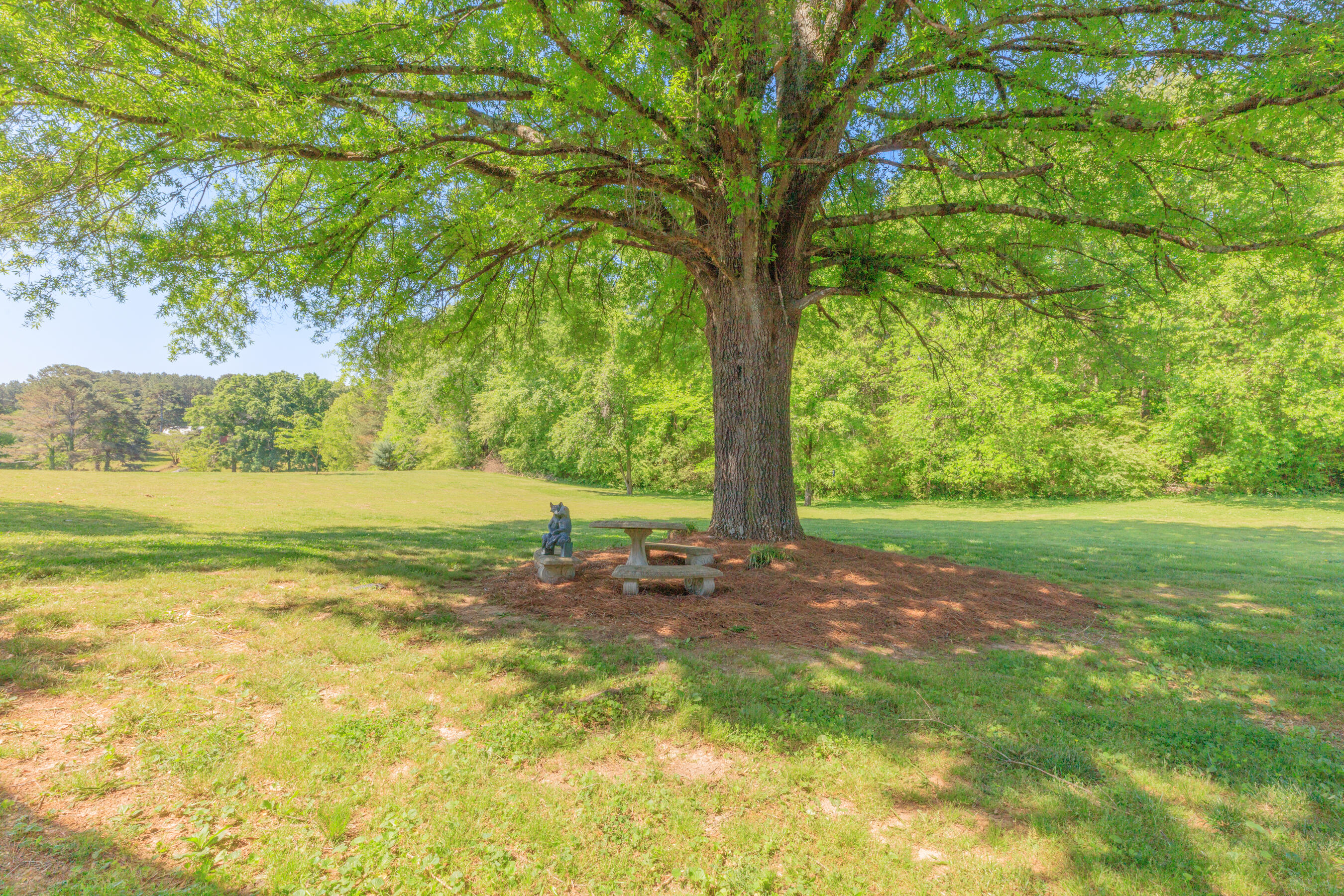 669 Chandler Road Chickamauga, GA 30707 - Photo 85 of 130 669 Chandler Road HD (50)