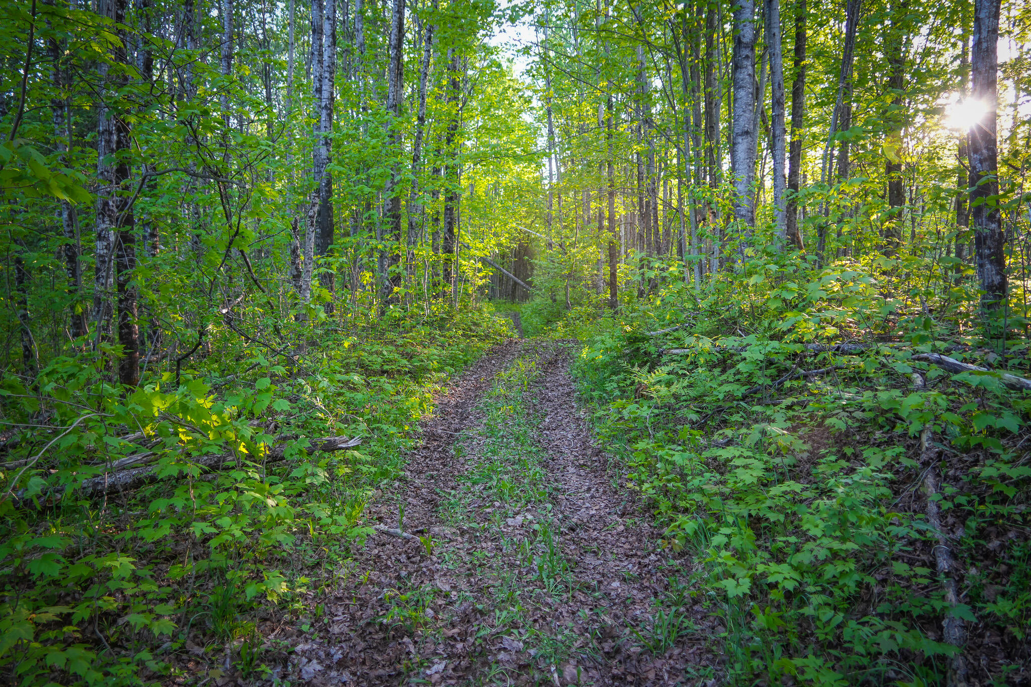 V/l V/l 33rd Road Perkins, MI 49872 - Photo 44 of 70 DSC00073
