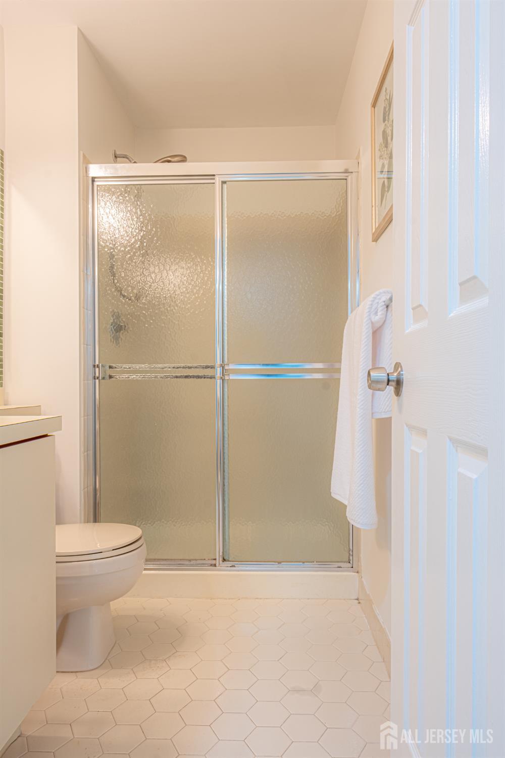 8 Amethyst Way Franklin Park, NJ 08823 - Photo 14 of 31