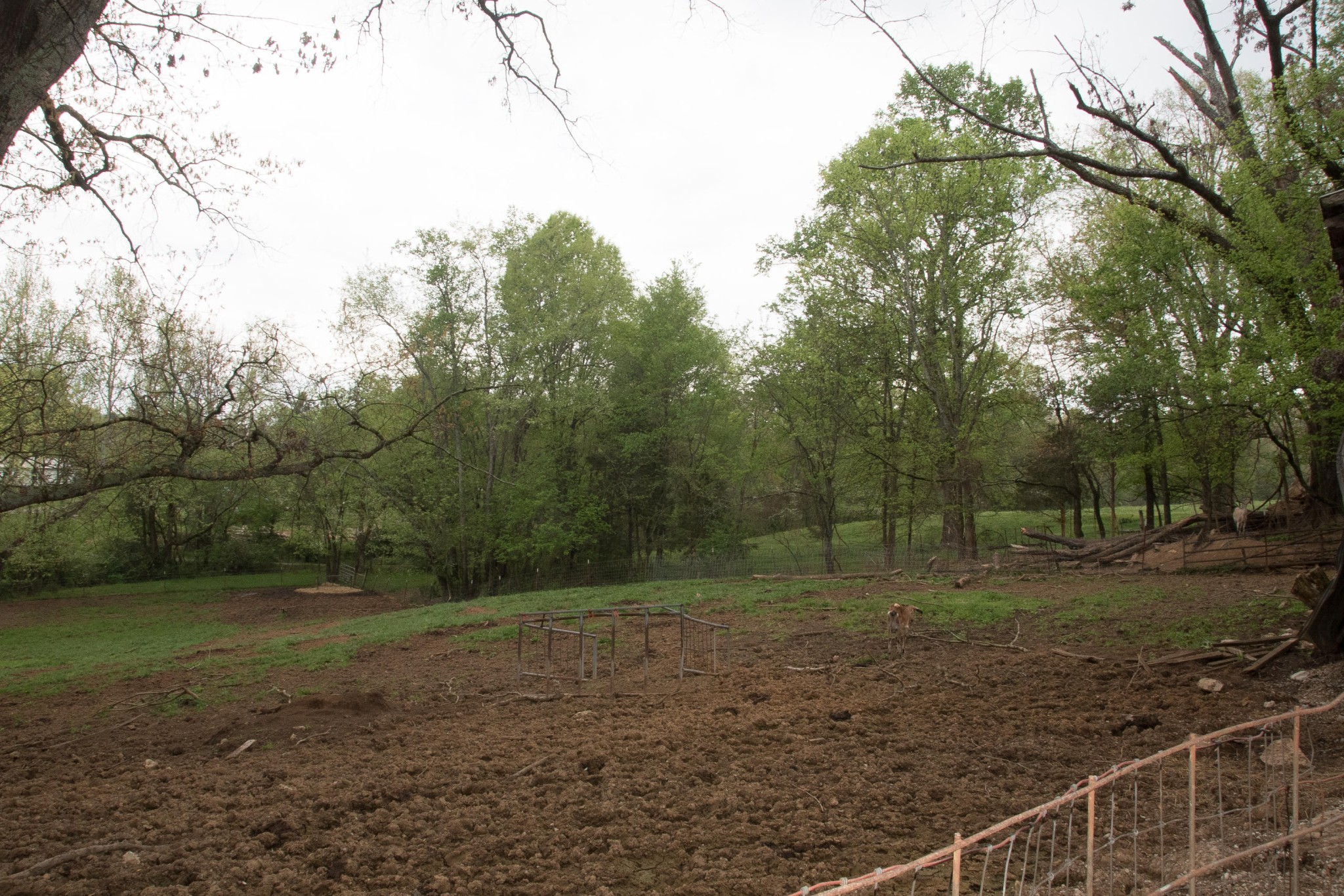 4807 Big Springs Road Friendsville, TN 37737 - Photo 13 of 14