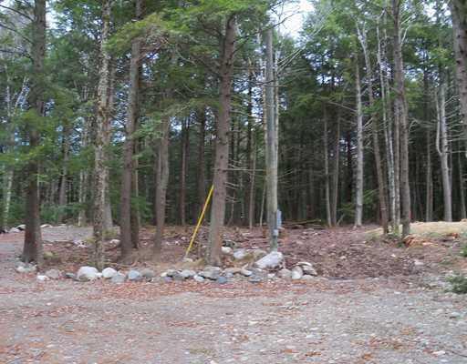 Lot 1 Mcgregor Road Burlington, ME 04417 - Photo 4 of 25 Yard/Garden.