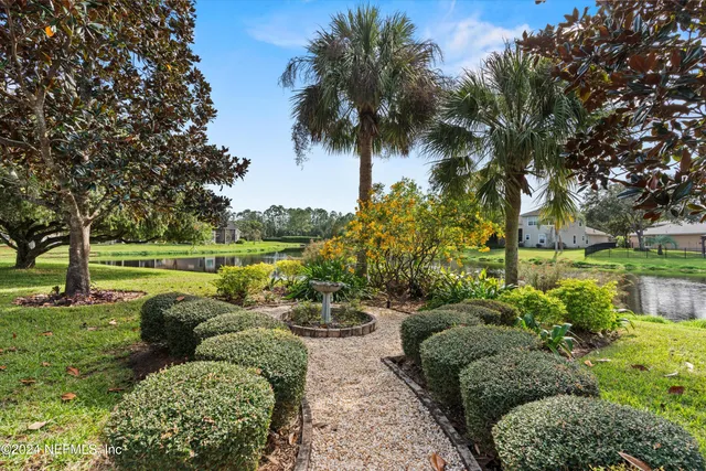 a view of a garden with plants and large trees