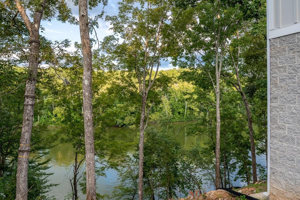 300 Chandler Road Doyle, TN 38559 - Photo 58 of 81