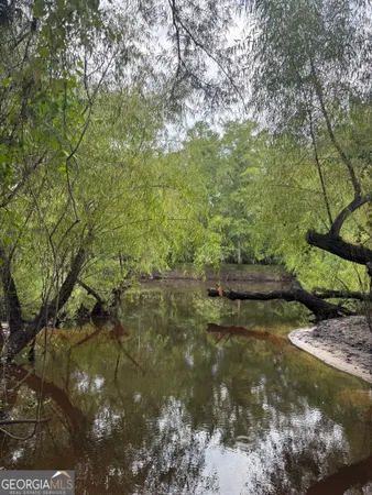 a view of a forest filled with trees