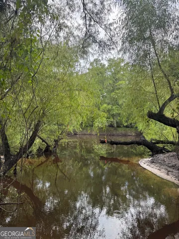 a view of a forest filled with trees