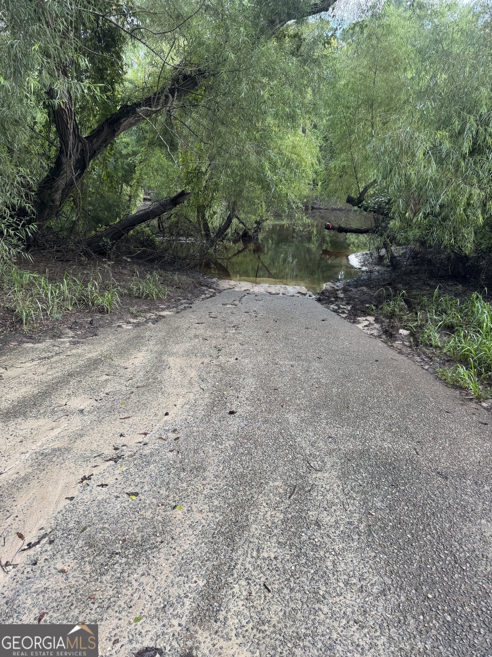 Lots 91-92 93 & Spikes Road Reidsville, GA 30453 - Photo 2 of 2 a view of a forest with trees in the background