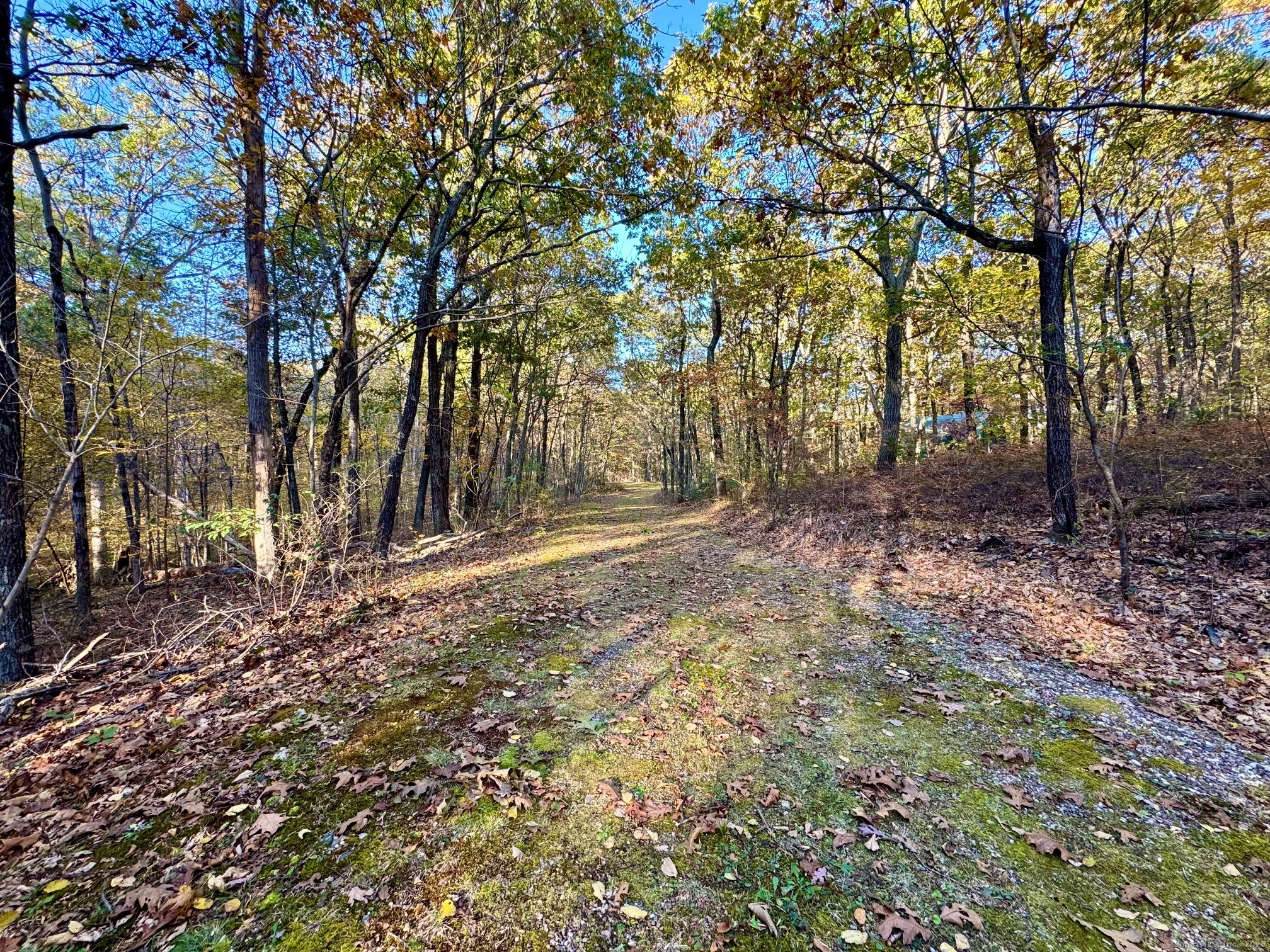 Laurel Street Middletown, CT 06457 - Photo 2 of 11