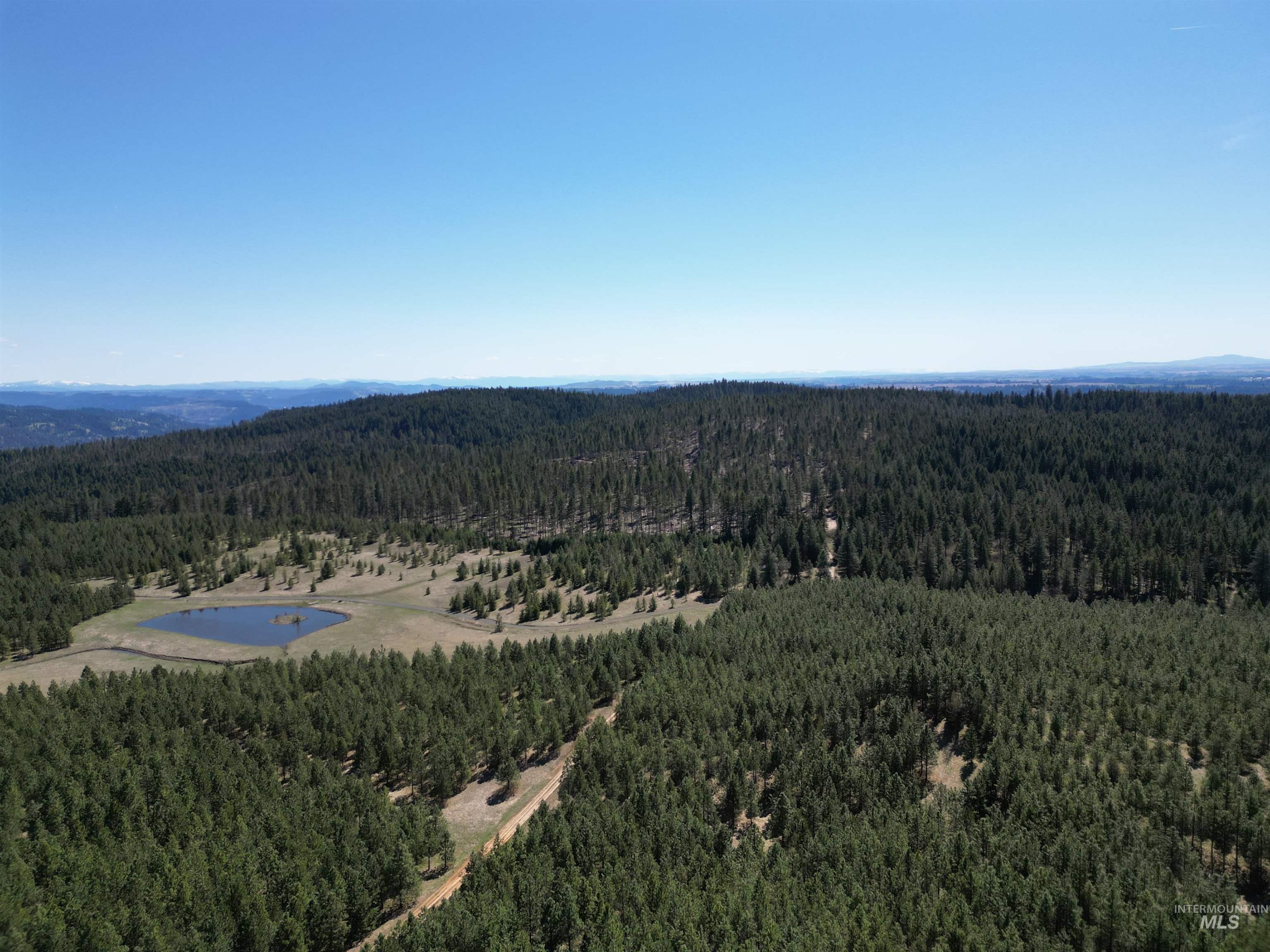 Tbd Middle Road Ahsahka, ID 83520 - Photo 13 of 31 Drone / aerial view of a forest and a large body of water