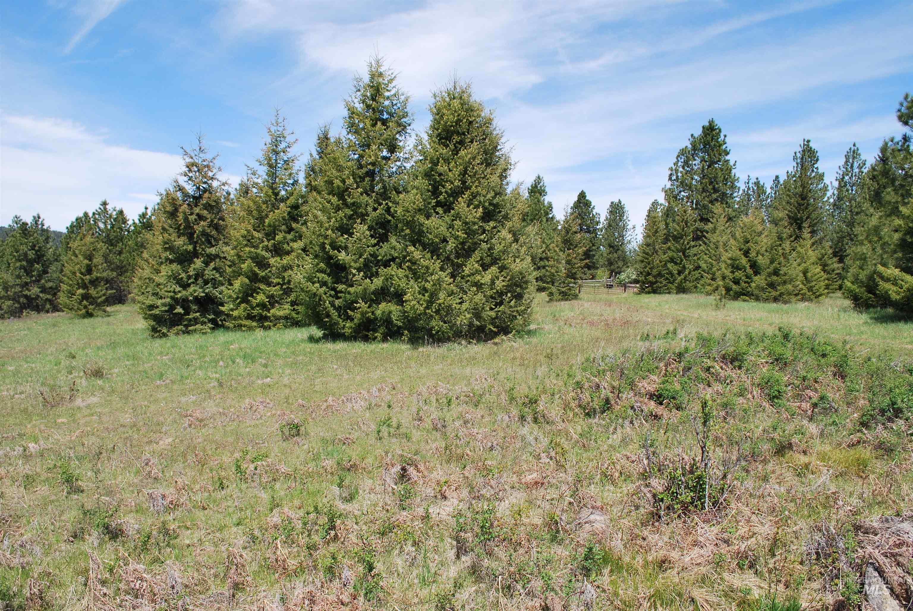 Tbd Middle Road Ahsahka, ID 83520 - Photo 24 of 31 View of local wilderness with rural landscape